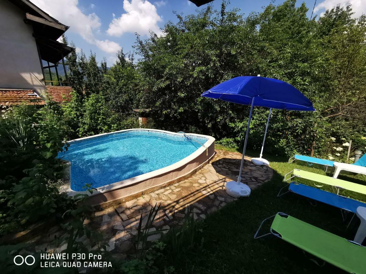 Villa Aqua Pravec Exteriér fotografie