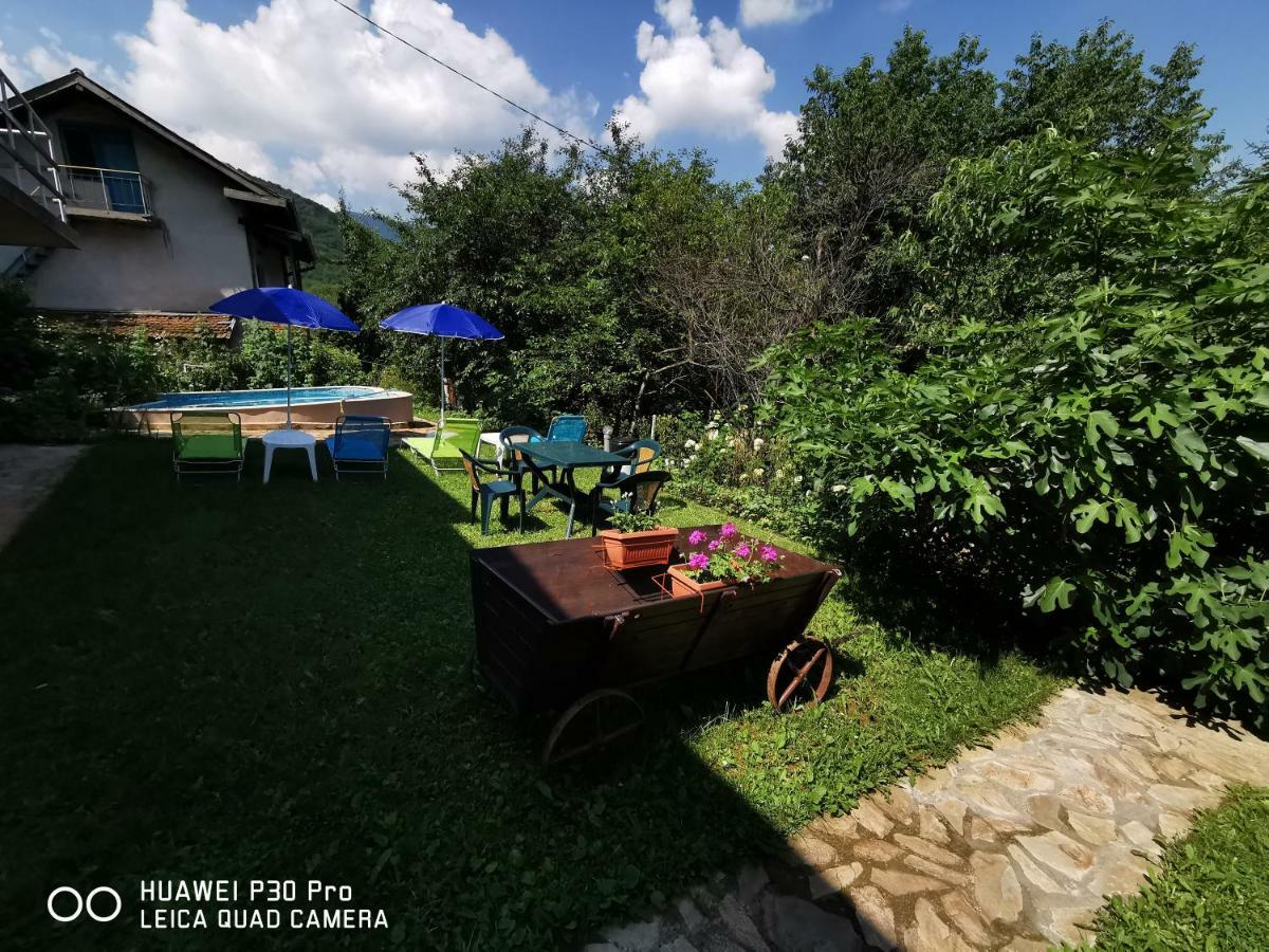 Villa Aqua Pravec Exteriér fotografie