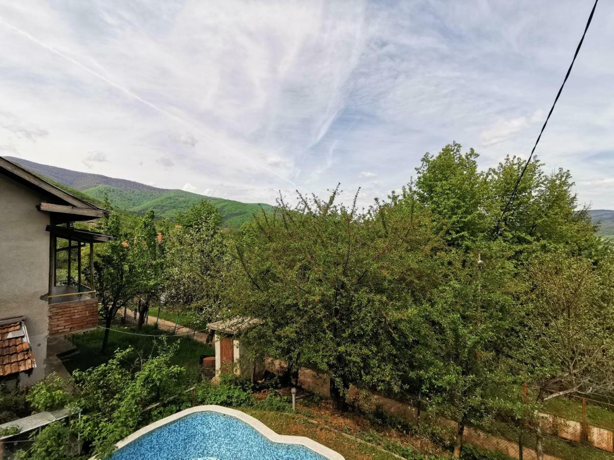 Villa Aqua Pravec Exteriér fotografie