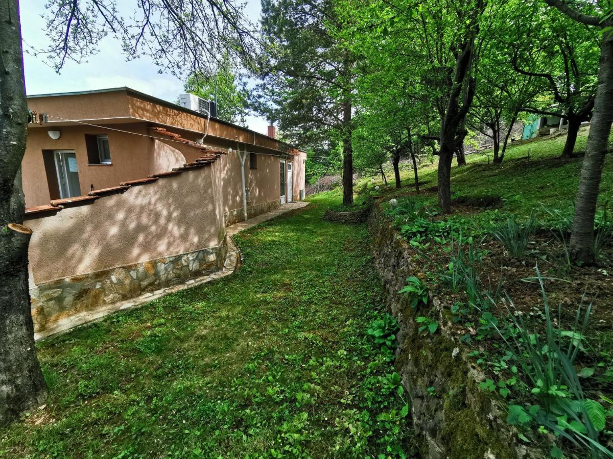 Villa Aqua Pravec Exteriér fotografie