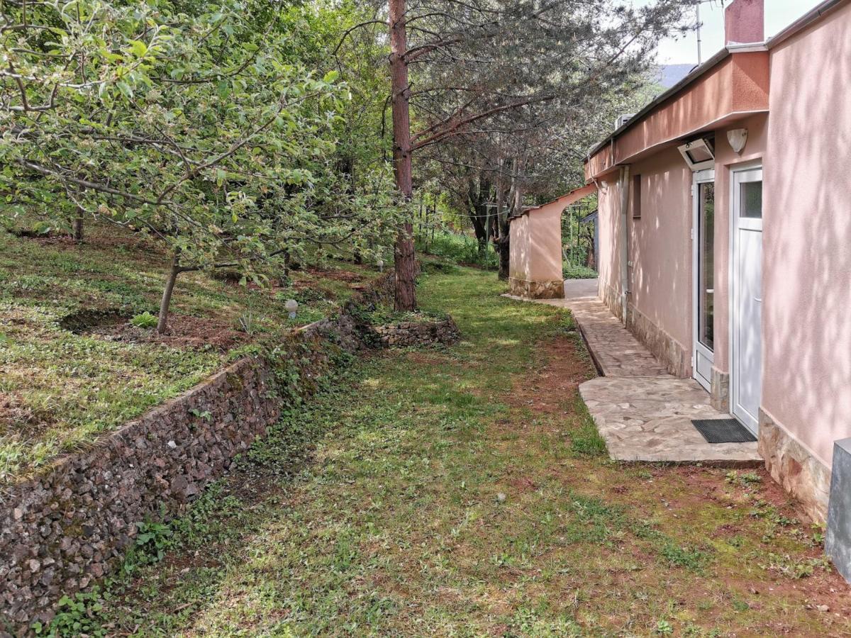 Villa Aqua Pravec Exteriér fotografie
