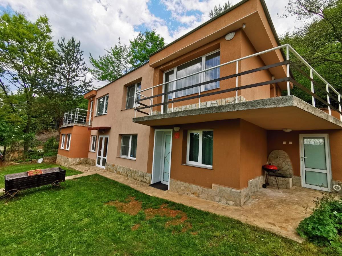 Villa Aqua Pravec Exteriér fotografie
