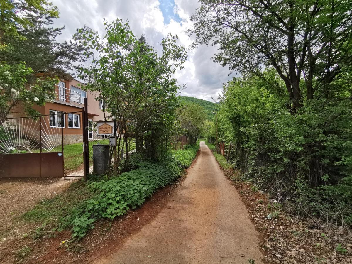 Villa Aqua Pravec Exteriér fotografie