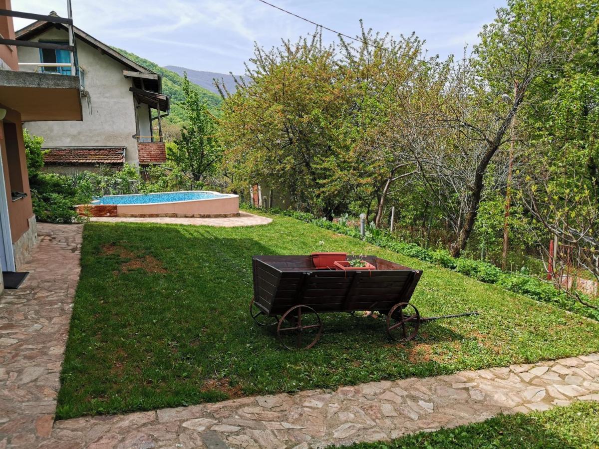 Villa Aqua Pravec Exteriér fotografie