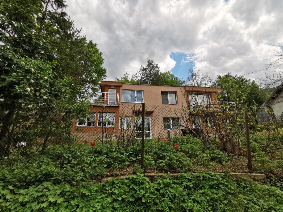 Villa Aqua Pravec Exteriér fotografie