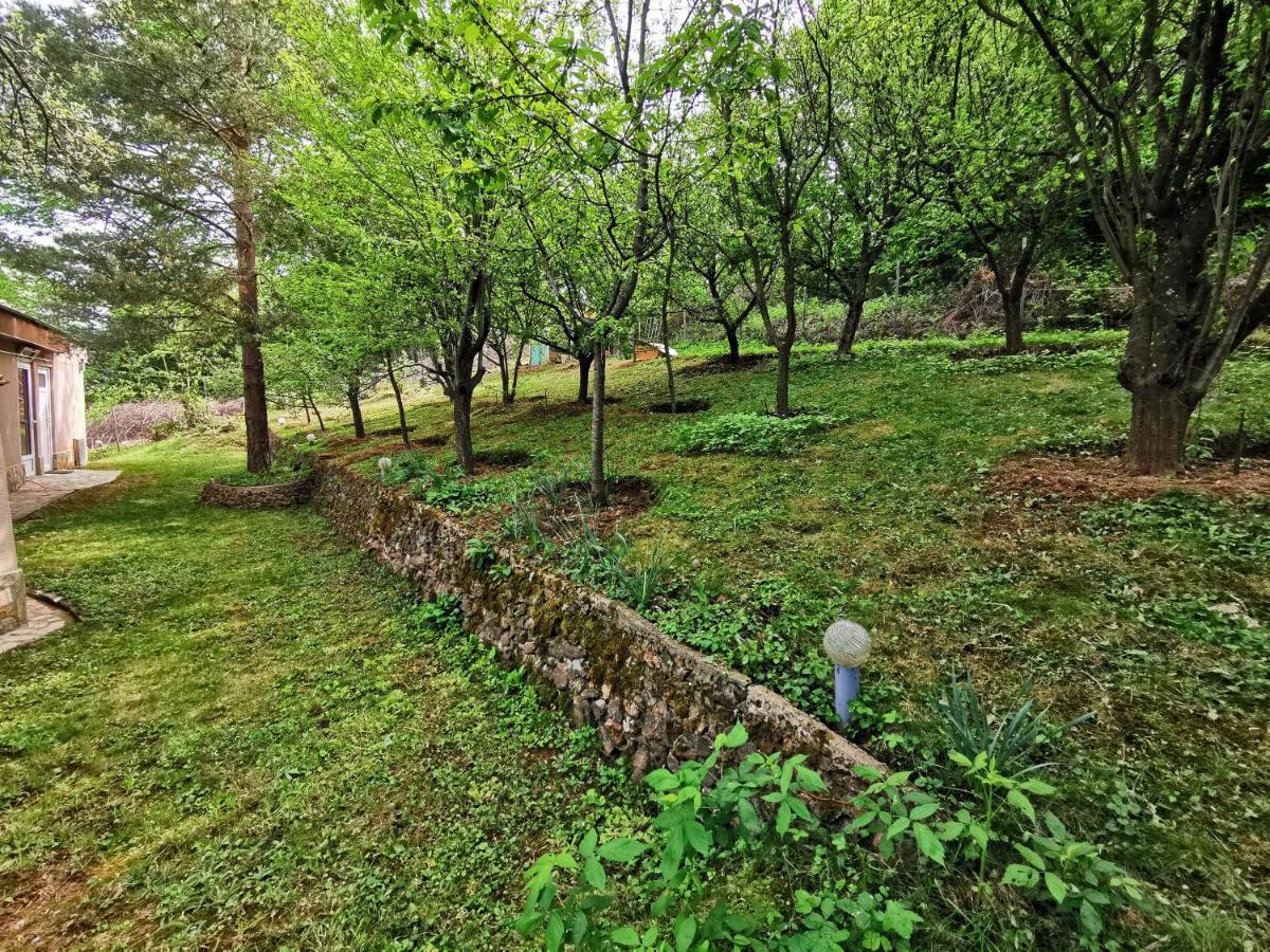 Villa Aqua Pravec Exteriér fotografie